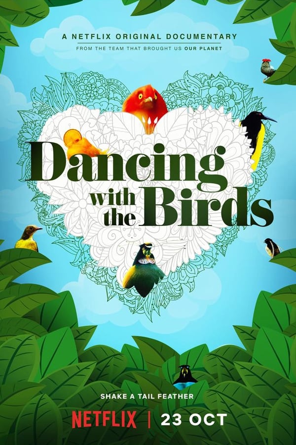 |EN| Dancing with the Birds