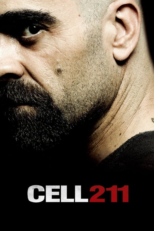 |FR| Cell 211