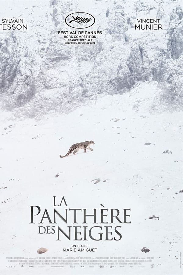 |IT| La Panthère des neiges