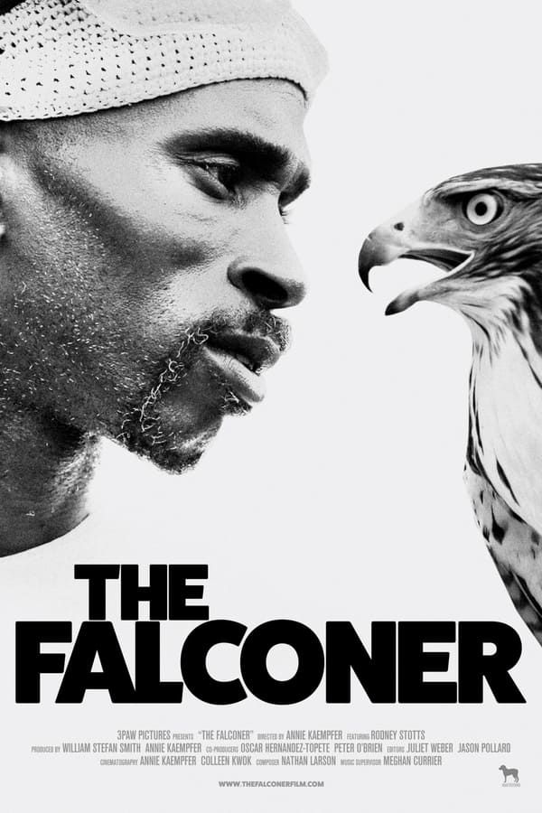 |AR| The Falconer
