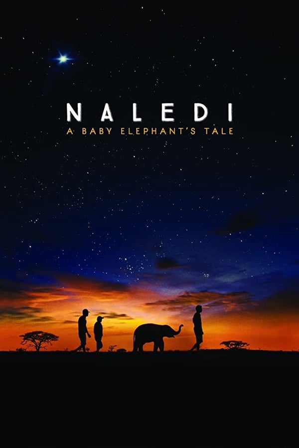 |IT| Naledi: A Baby Elephants Tale