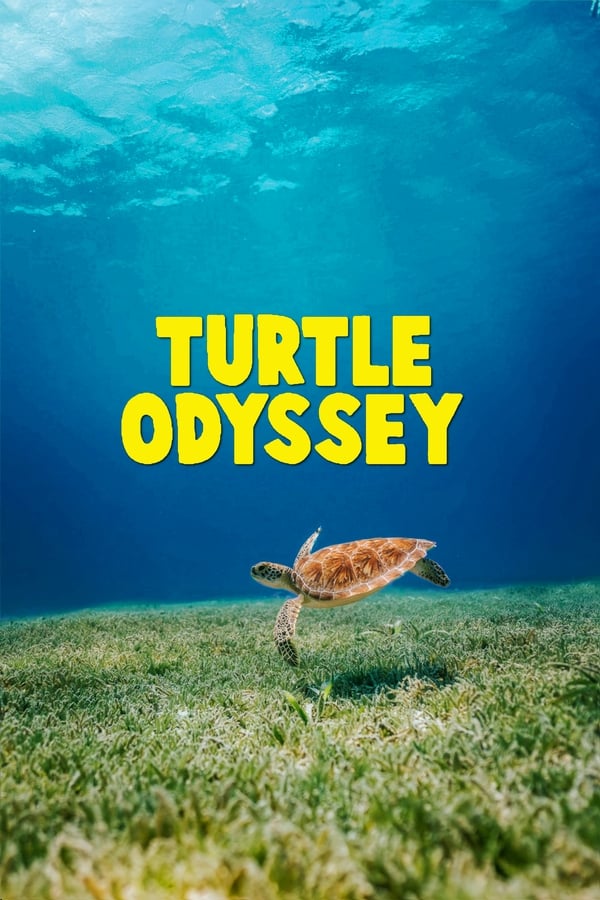 |EN| Turtle Odyssey (MULTISUB)