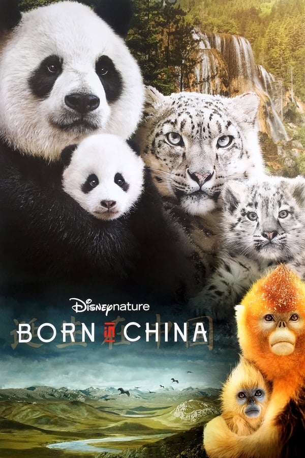|DE| Born in China