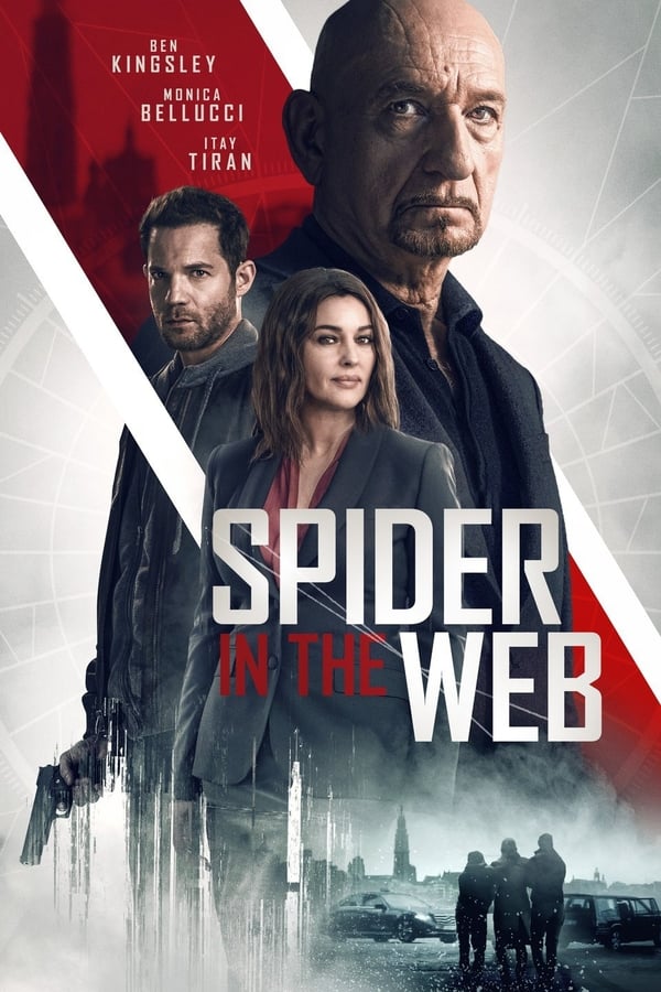 |NL| Spider in the Web (SUB)