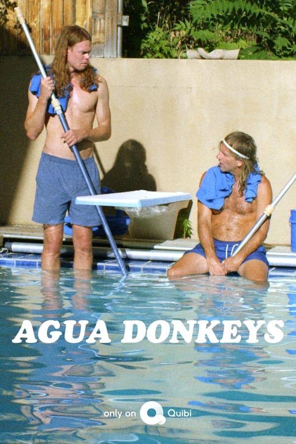 |EN| Agua Donkeys