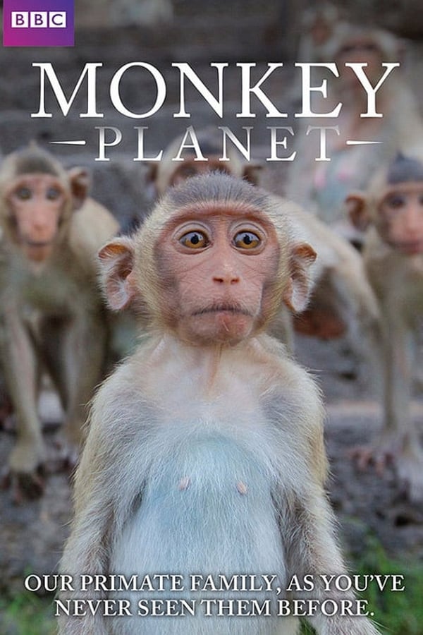|EN| Monkey Planet
