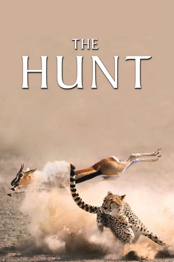 |EN| The Hunt