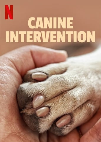 ES| Terapia Canina