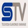 HR: Slavonska TV
