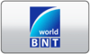 BG: BNT WORD