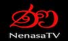 SRI: NENASA TV GRADE 11