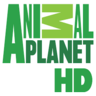 NO: ANIMAL PLANET HD