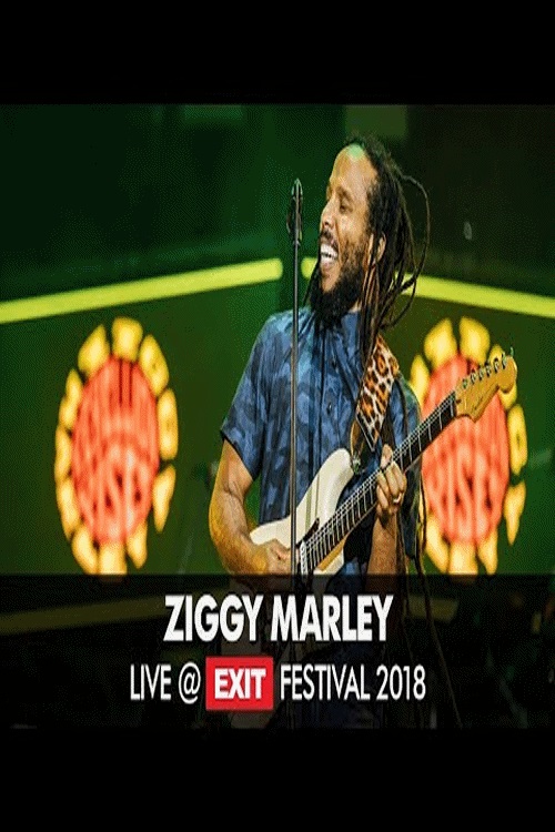 EN - Ziggy Marley Live at Exit