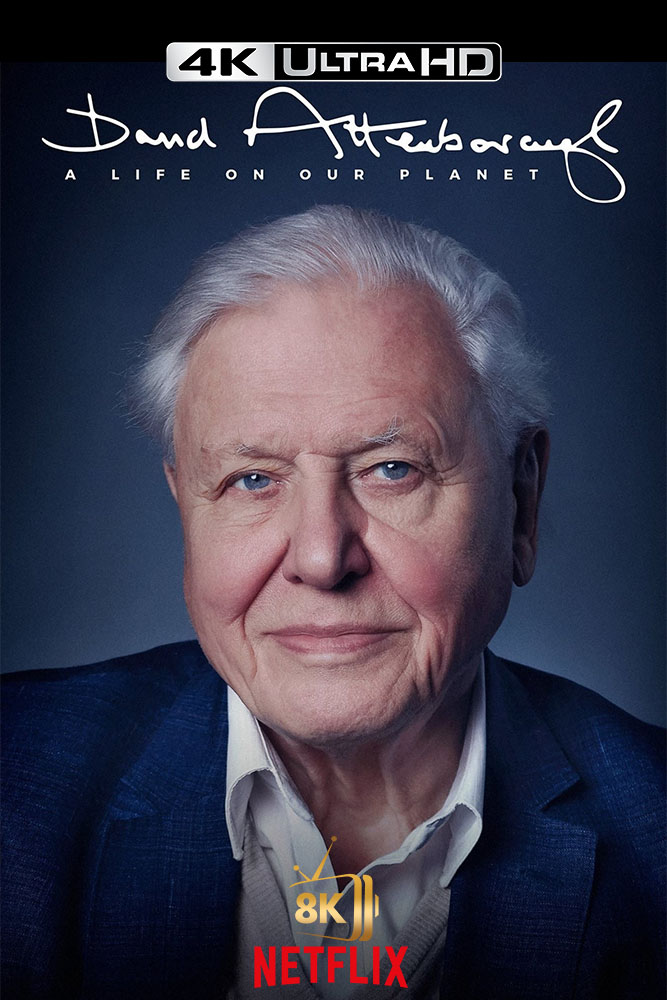 4K-NF - David Attenborough: A Life on Our Planet  (2020)