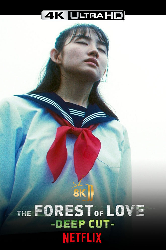 4K-NF - The Forest of Love  (2019)