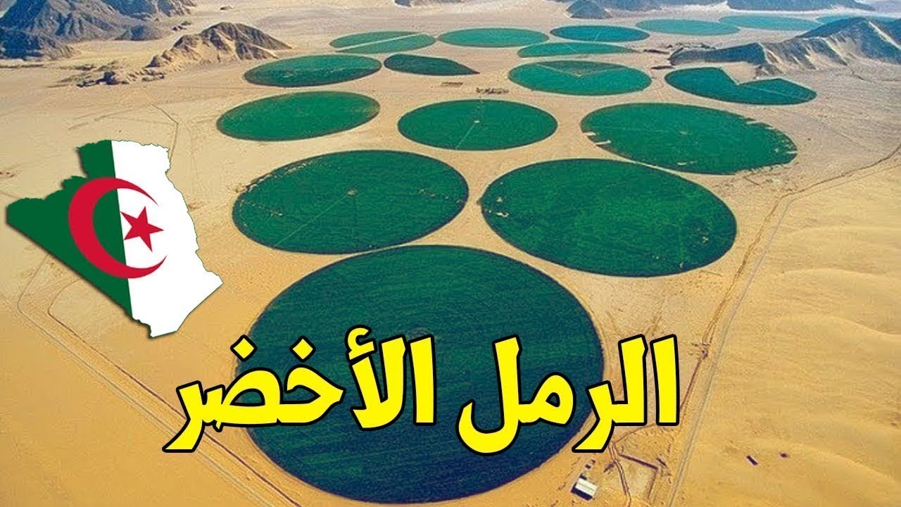 AR - الرمل الأخضر - الجزائر