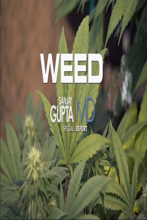 EN - Weed - Dr Sanjay Gupta: Medical Marijuana  (2021)