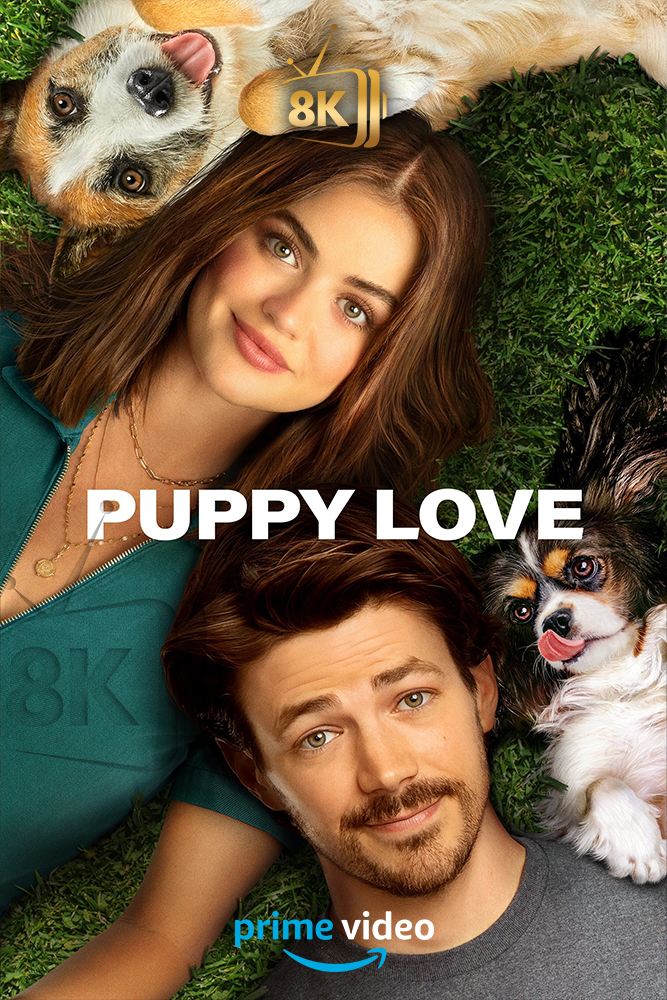 AMZ - Puppy Love (2023)