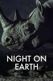 NF - Night on Earth (GB)