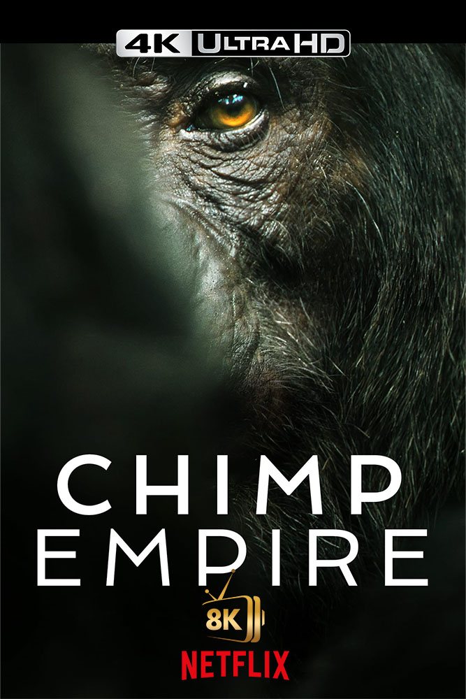 4K-NF - Chimp Empire (GB)