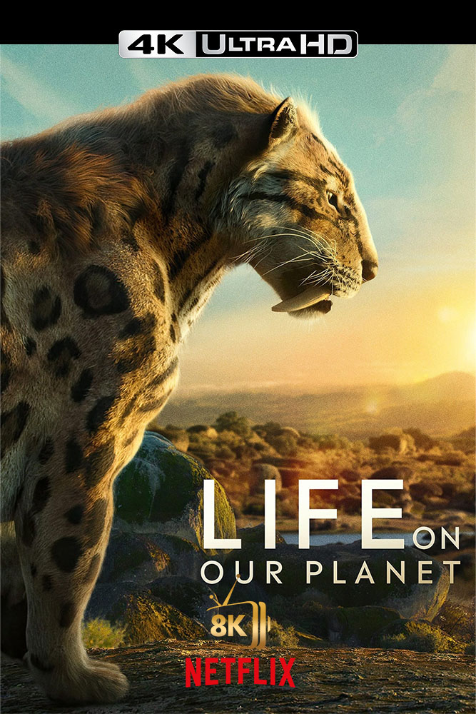 4K-NF - Life on Our Planet (US)