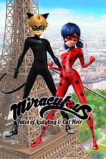 NF - Miraculous: Tales of Ladybug & Cat Noir