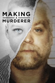 AR - Making a Murderer