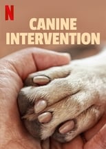 NF - Canine Intervention (US)