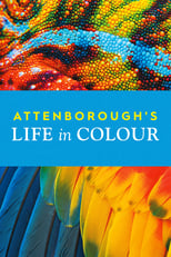 NF - Attenborough's Life in Colour (GB)