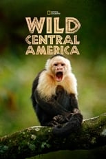 D+ - Wild Central America