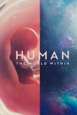 NF - Human  The World Within (US)