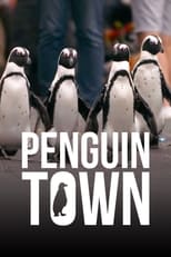 NF - Penguin Town (ZA)