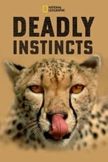 D+ - Deadly Instincts