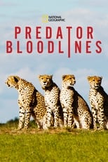 D+ - Predator Bloodlines (US)