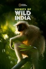 D+ - Secrets of Wild India (GB)