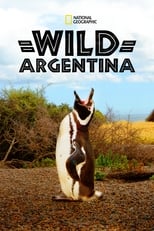D+ - Wild Argentina (AR)