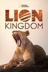 D+ - Lion Kingdom (US)