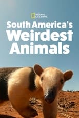 D+ - South America's Weirdest Animals (NZ)