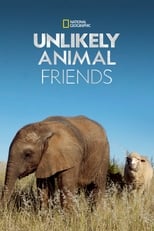 D+ - Unlikely Animal Friends