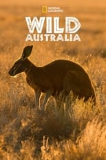 D+ - Wild Australia (US)