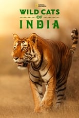 D+ - Wild Cats of India (IN)